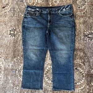 Silver Jeans Dark Blue Ankle Jeans